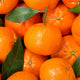 Mandarina